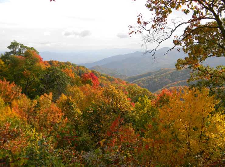 Montagne colorate dal foliage