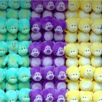 Tanti peluche alla parete di vari colori tutti in fila