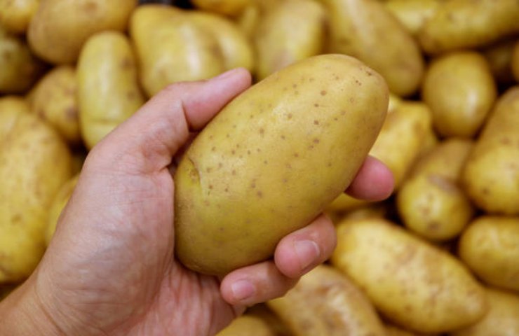 Patate