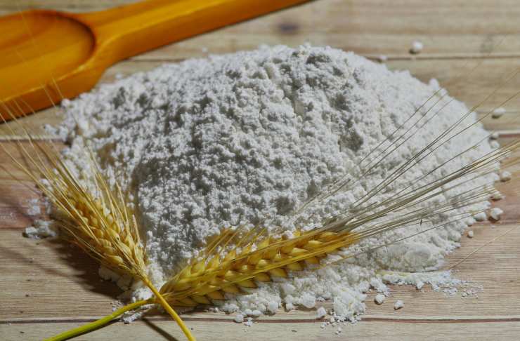 Un mix di farine è indispensabile se si vogliono preparare gli sciatt