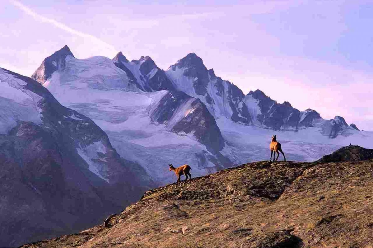 montagne parco gran paradiso