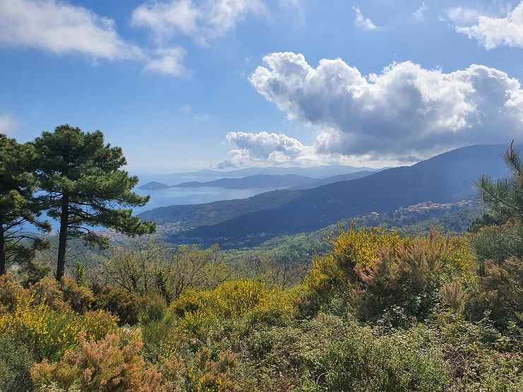 isola d'elba