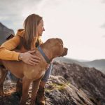 Fare trekking con il proprio cane