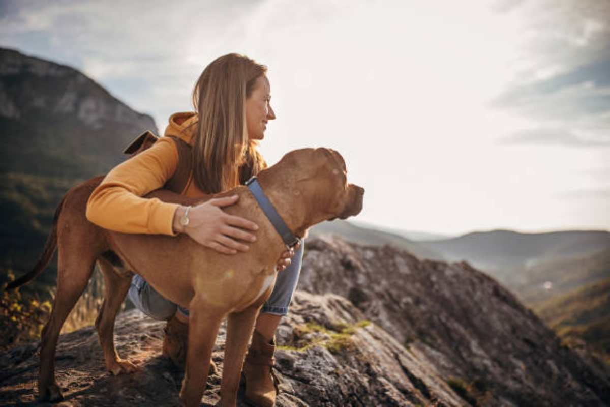 Fare trekking con il proprio cane