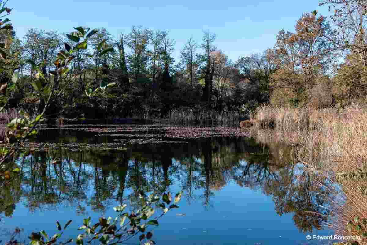 Parco Naturale dei Lagoni di Mercurago