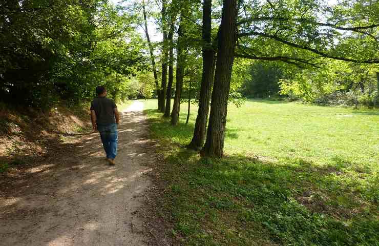 Trekking al Parco Naturale dei Lagoni di Mercurago