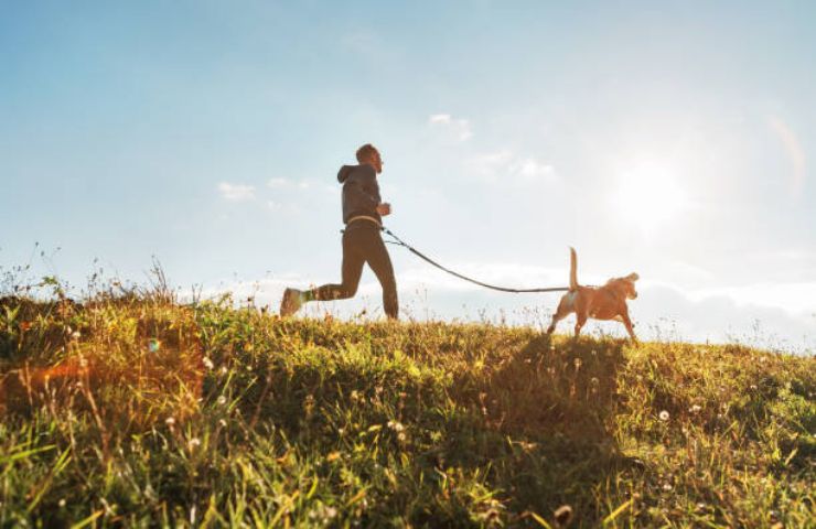 Trekking con il cane