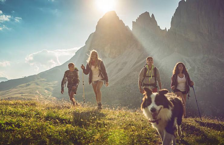 Trekking con il cane