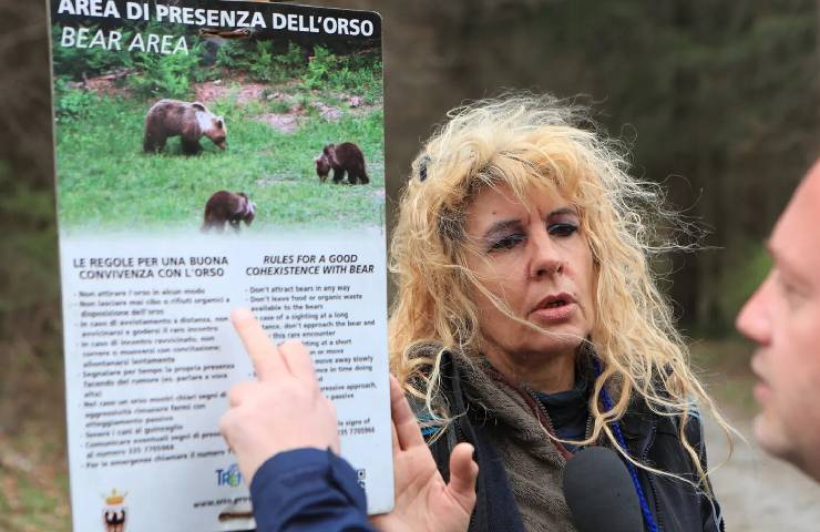 Orsi in Trentino