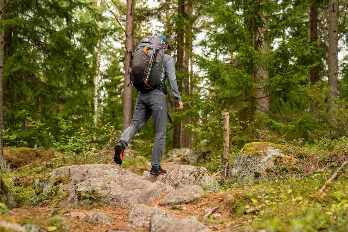 Meglio correre o camminare? Meglio fare trekking: la scienza lo dimostra