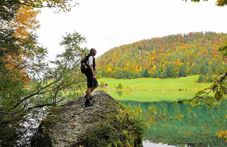 alpi kitzbuheler