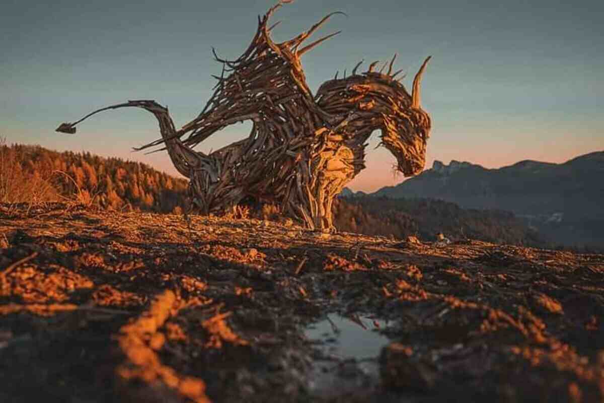 Drago di Vaia