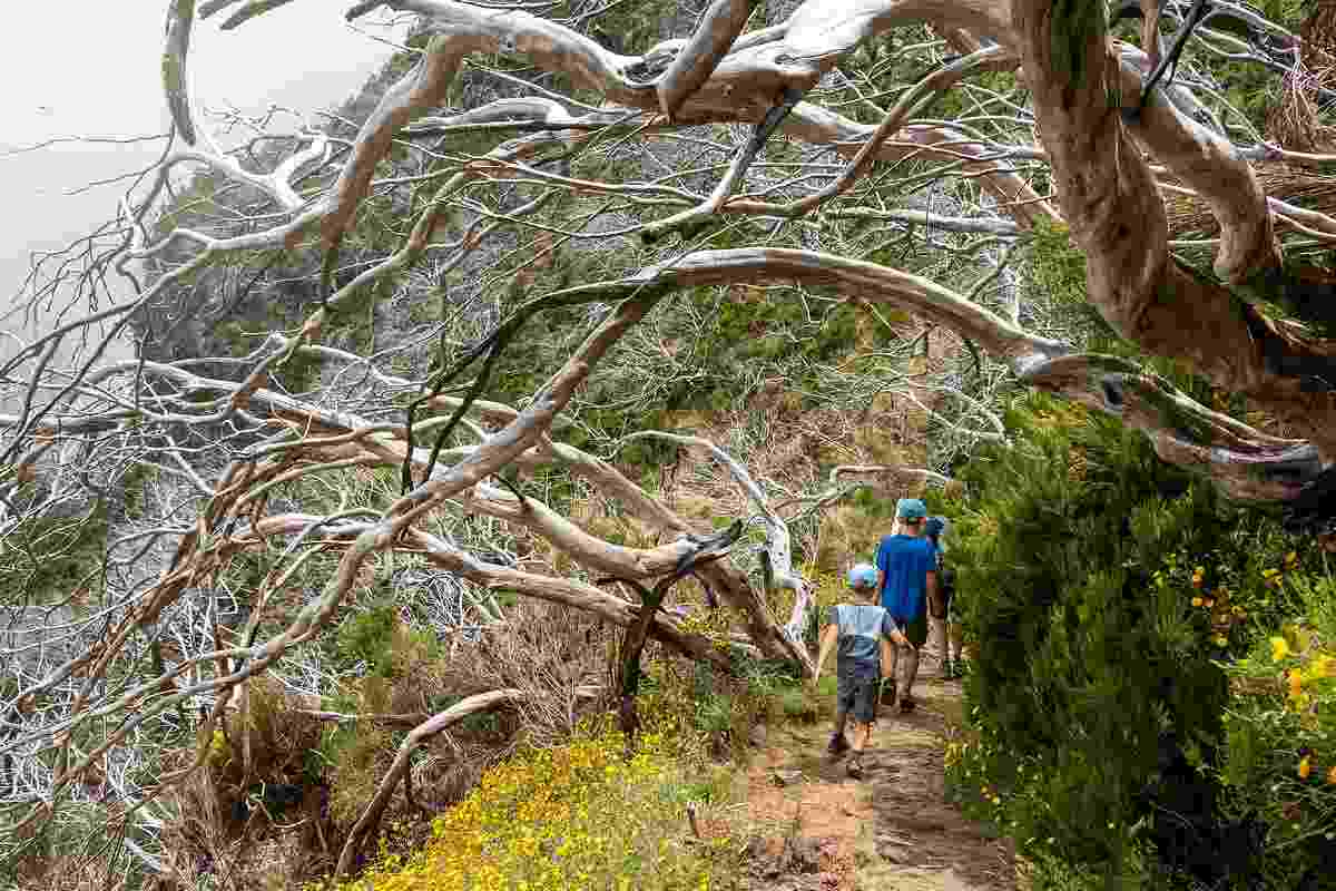 Trekking montagna